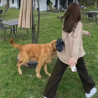 路上有狼